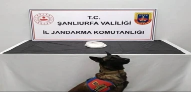 Haliliye’de Uyuşturucu Operasyonu