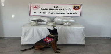 Hilvan’da uyuşturucu operasyonu