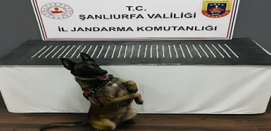 Şanlıurfa’da 1206 Sentetik Ecza Hap Ele Geçirildi Şanlıurfa’da 1206 Sentetik Ecza Hap Ele Geçirildi