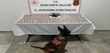 Şanlıurfa’da uyuşturucu operasyonu