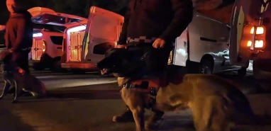 Uyuşturucu Satıcılarına Büyük Operasyon: Yüzlerce Gözaltı