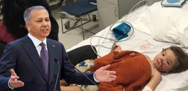 Bakan Yerlikaya duyurdu! 2 çocuğa saldıran köpeğin sahibi tutuklandı