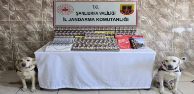Jandarma'dan kaçakçılık operasyonu