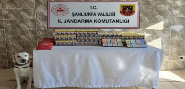 Jandarma'dan kaçakçılara geçit yok