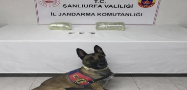Şanlıurfa’da 2 kilo kubar esrar ele geçirildi: 1 gözaltı
