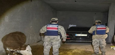 Akçakale’de Ahırda Saklanan Çalıntı Araç Bulundu