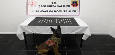 Harran'da uyuşturucu operasyonu: 2 gözaltı