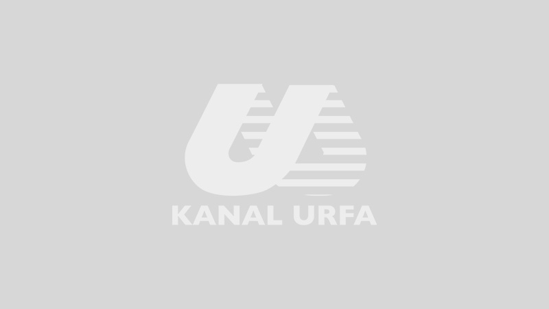 Şanlıurfa trafiğinde sevindiren tablo
