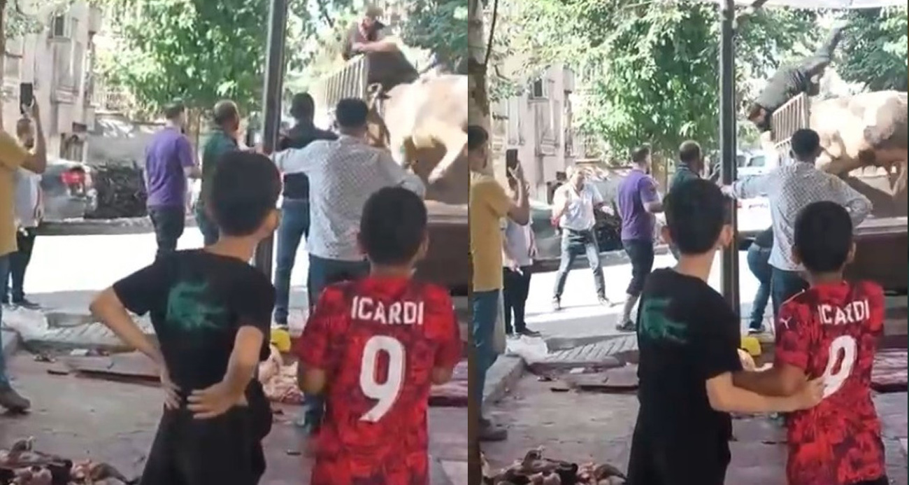 Şanlıurfa'da kızgın boğa kasaba hayatının kabusunu yaşattı