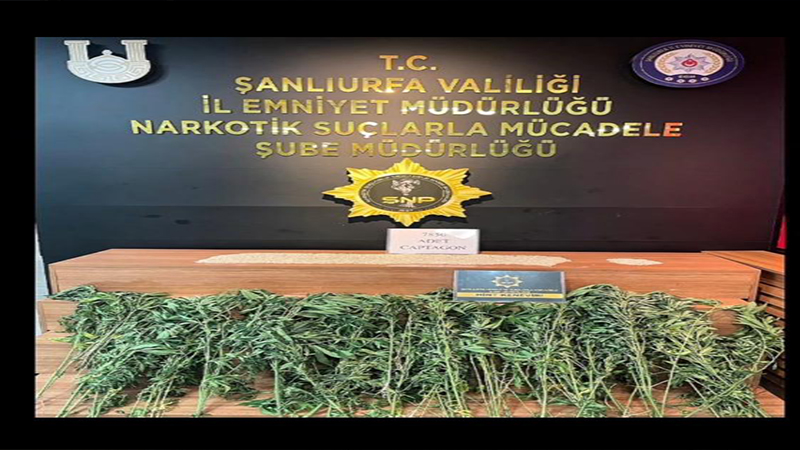 Şanlıurfa'da zehir tacirlerine ağır darbe!
