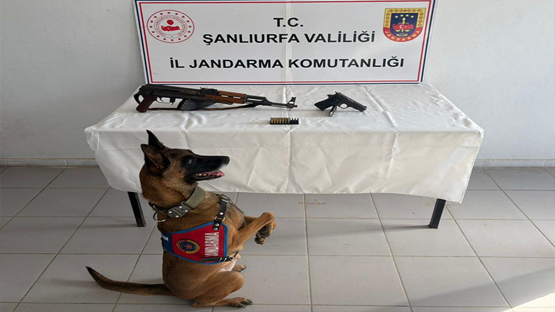 Birecik’te Ruhsatsız Silah ve Mühimmat Ele Geçirildi