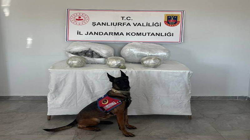 Hilvan’da uyuşturucu operasyonu