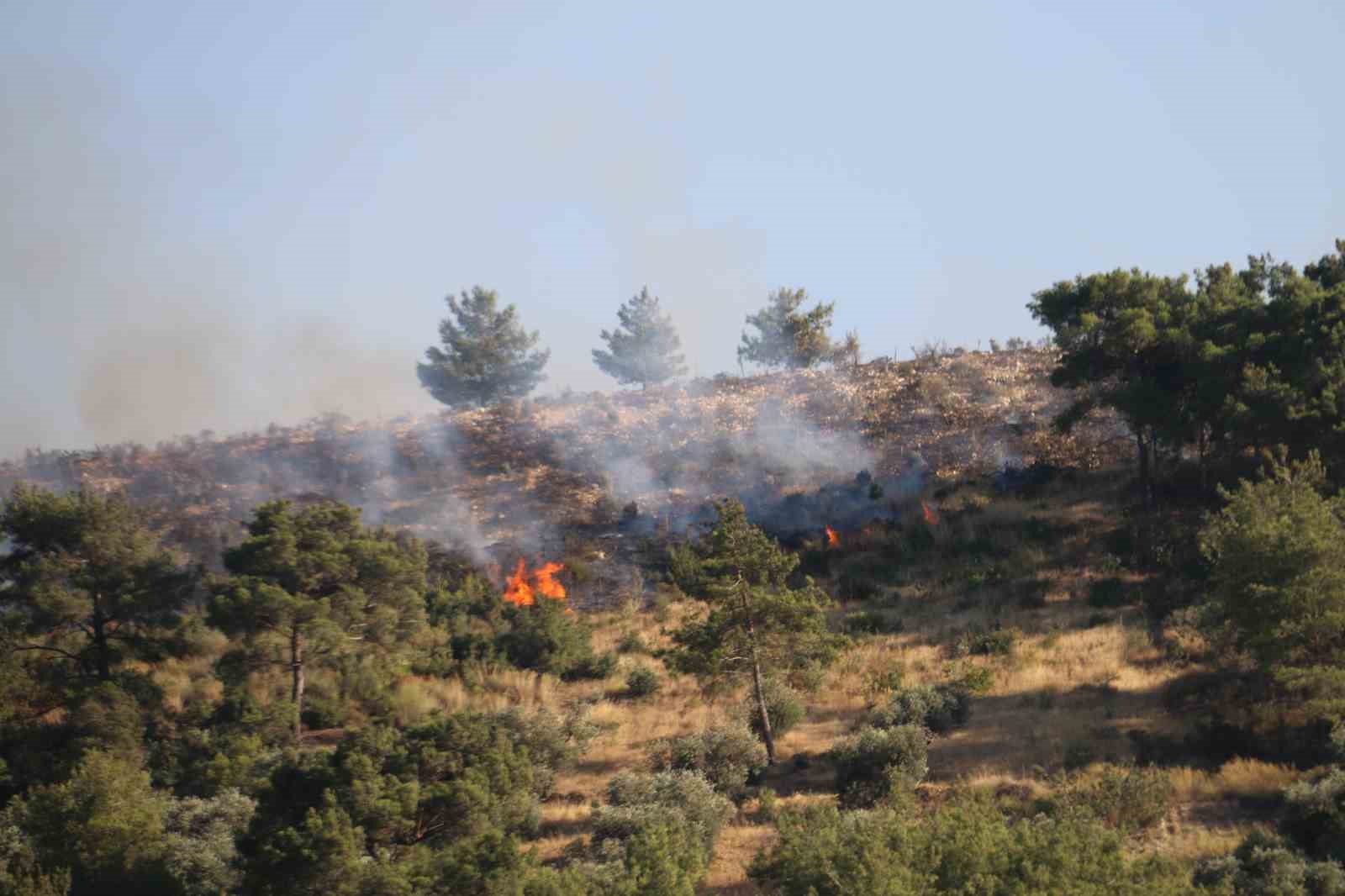 Şanlıurfa’dan Hatay’daki Orman Yangınına Destek