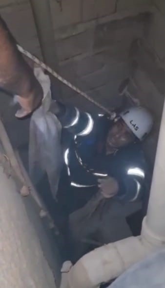 Şanlıurfa´da kedi kurtarma operasyonu