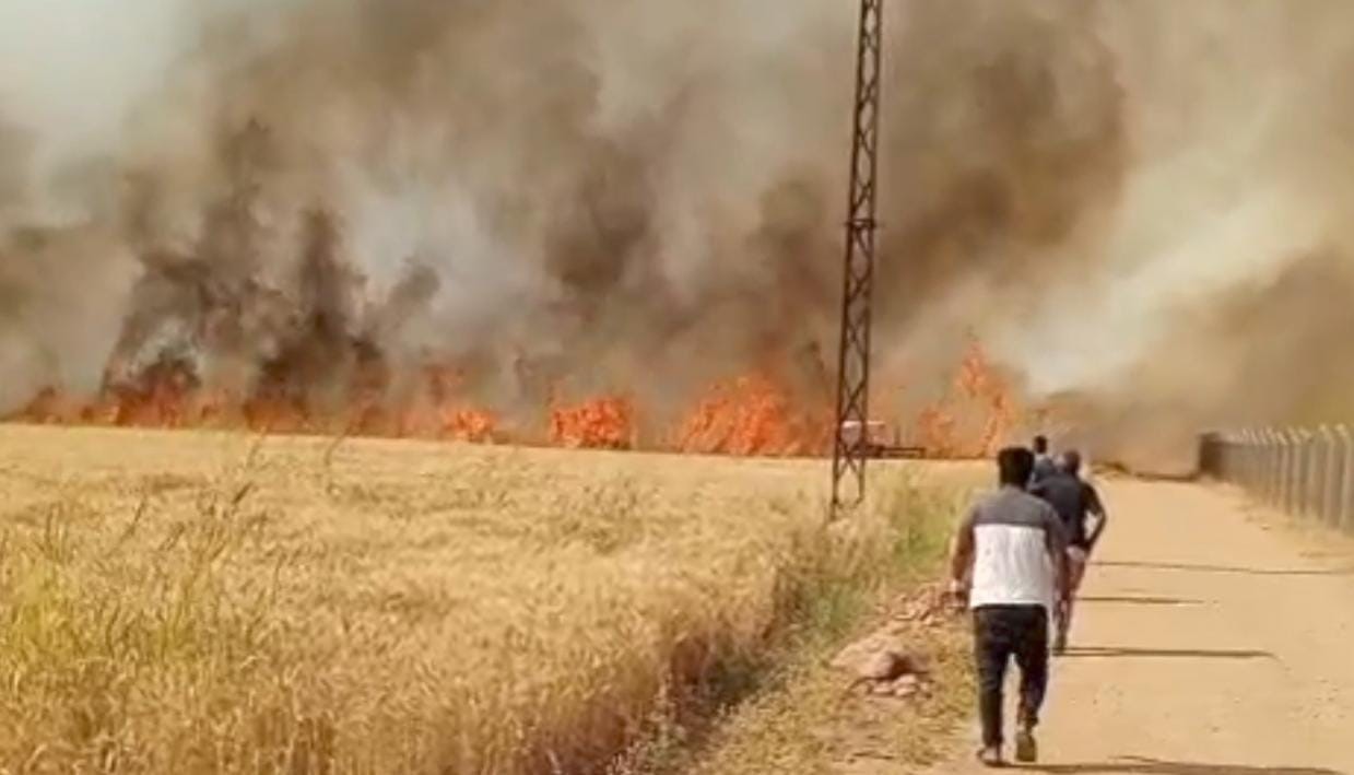 Harran Ovası’nda 40 dönüm ekili arazi yandı