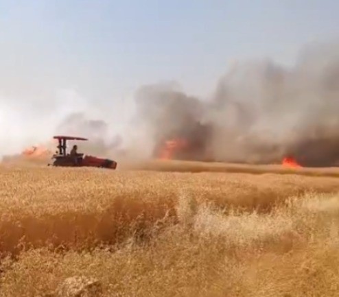 Şanlıurfa’da buğday tarlasında yangın