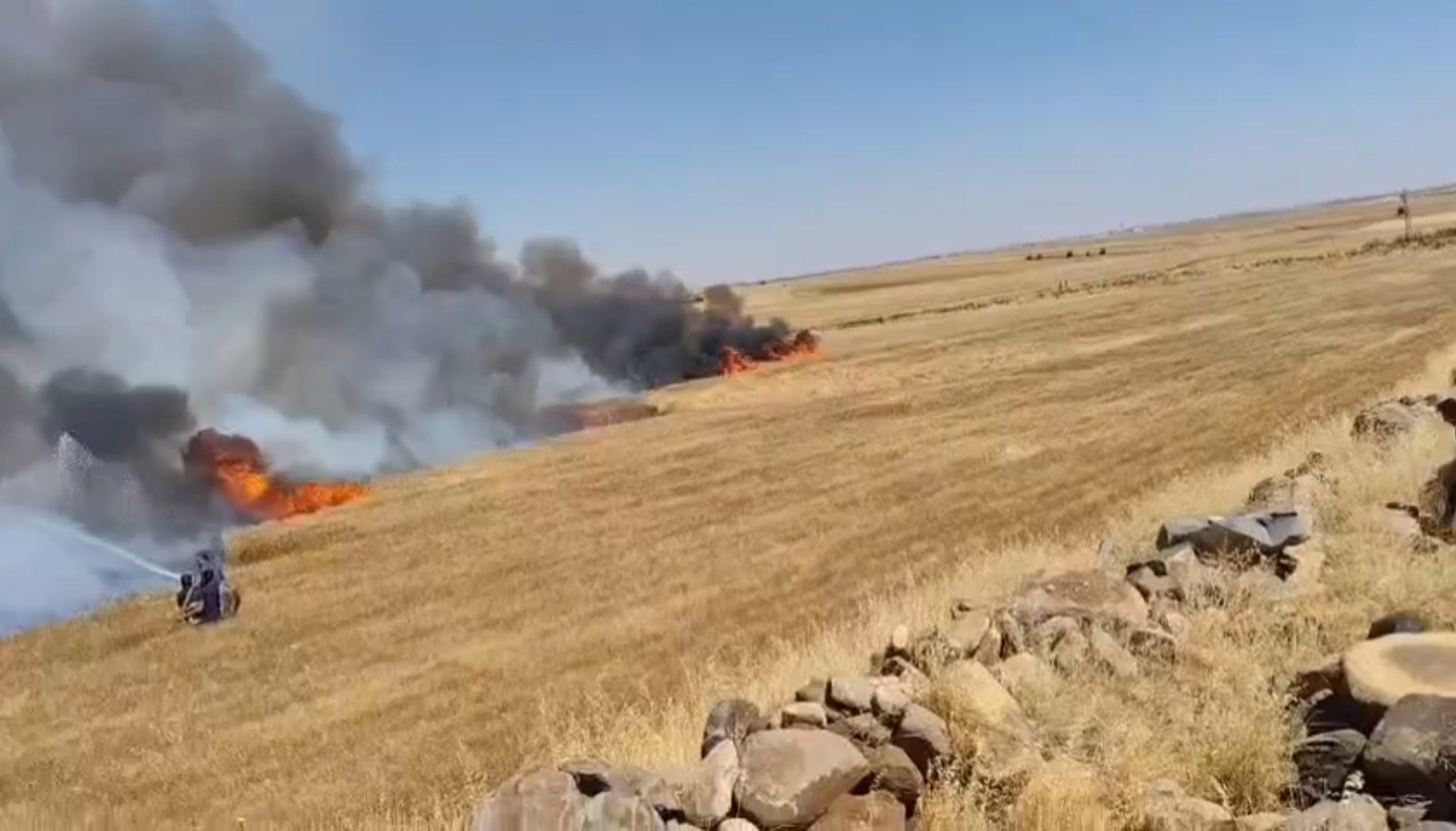 Şanlıurfa’da buğday tarlasında yangın