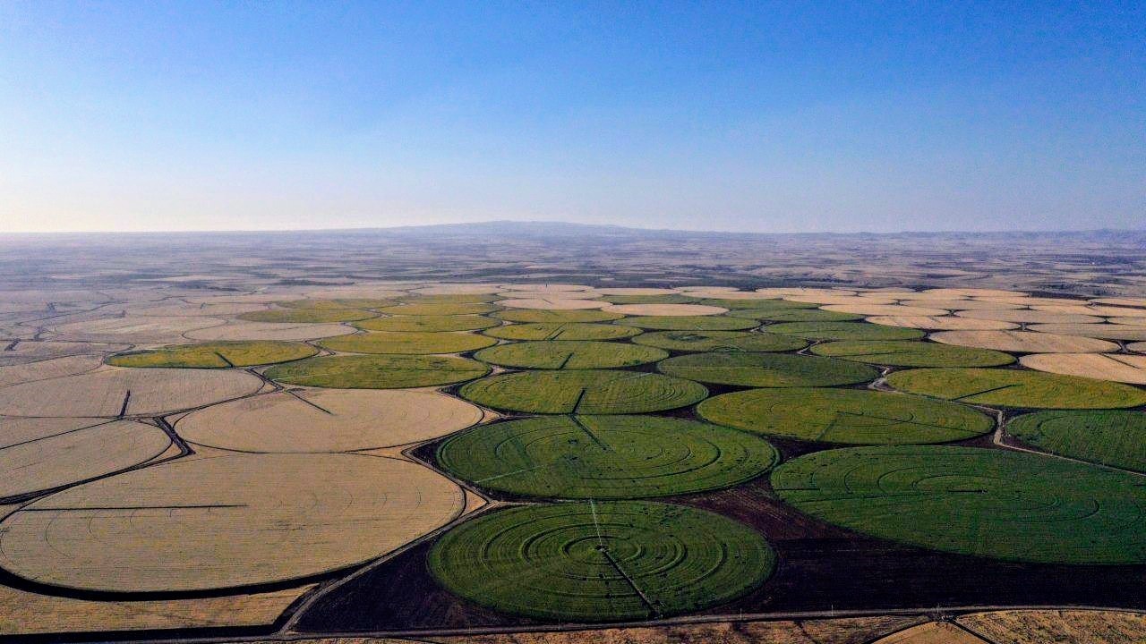 Şanlıurfa’da evlenenlerin yeni uğrak yeri