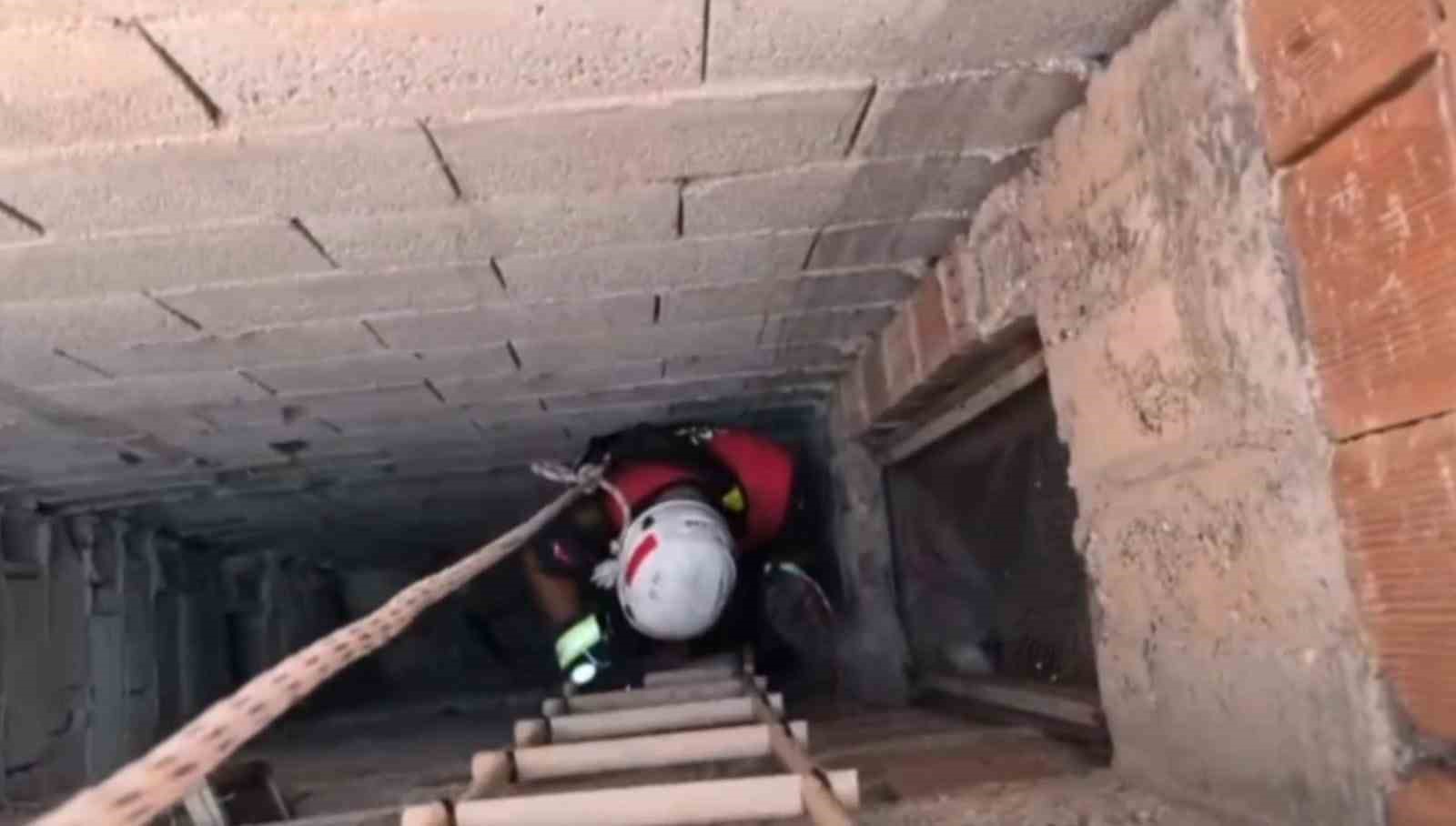 Şanlıurfa’da İtfaiyeden kedi kurtarma operasyonu