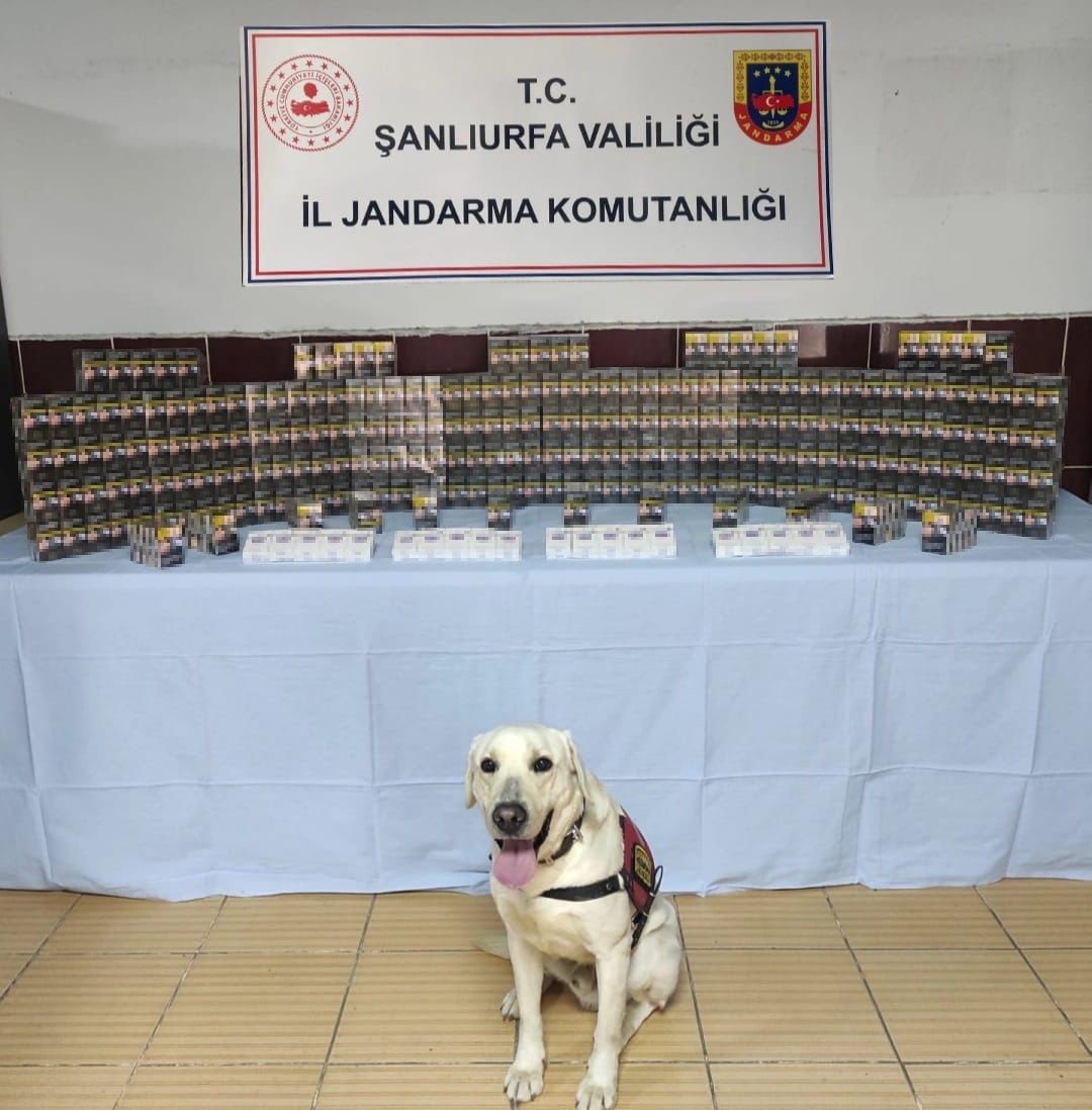 Şanlıurfa Jandarmadan kaçakçılara darbe