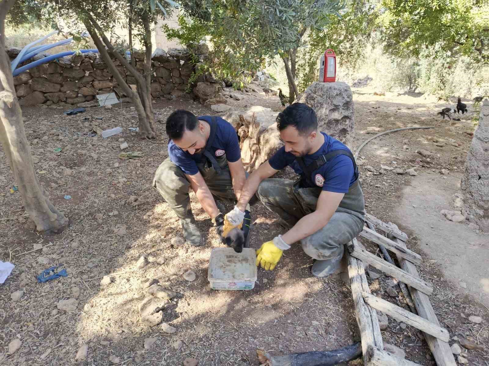 Şanlıurfa’da köpek kurtarma operasyonu