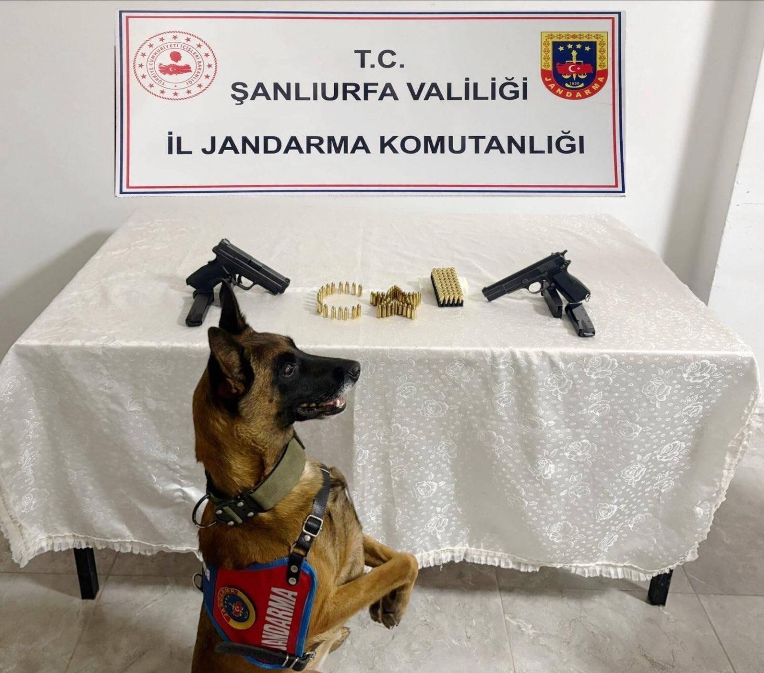 Şanlıurfa’da silah kaçakçılığı operasyonu