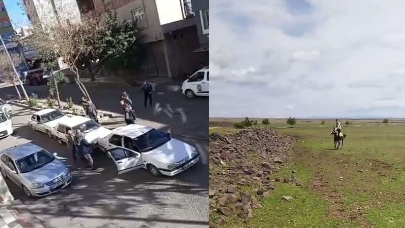 Siverek’te Kameralara Yansıyan Anlar Güldürdü