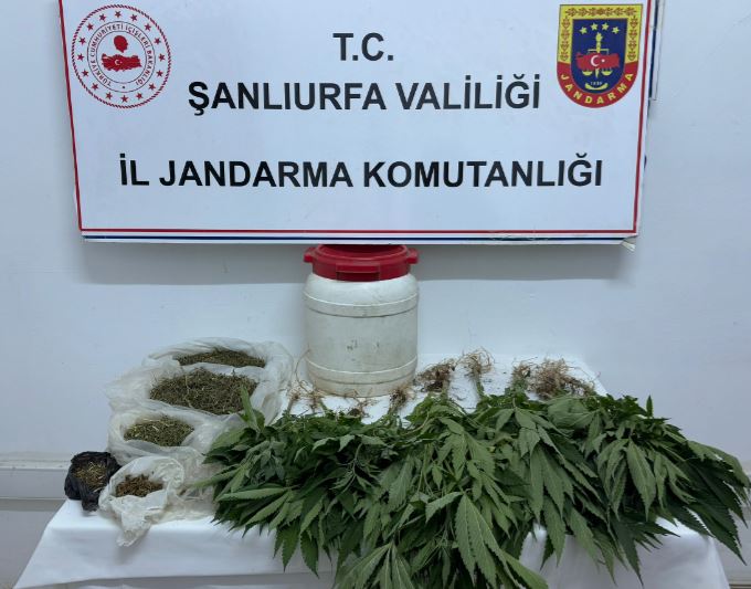 Suruç’ta uyuşturucu operasyonu: Kenevir ve kubar esrar ele geçirildi