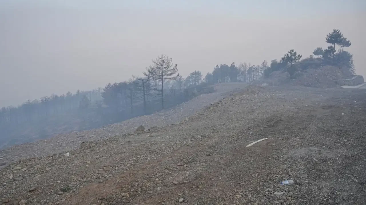 Bursa'daki orman yangını 3. gününde