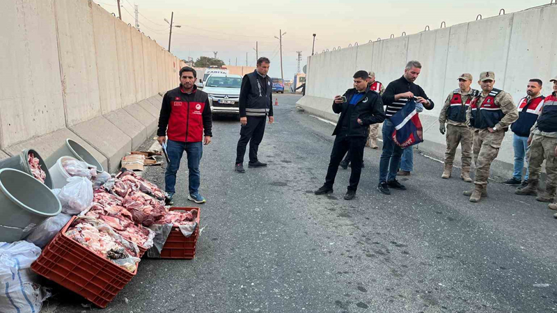 Şanlıurfa’da 1 ton kaçak et ele geçirildi