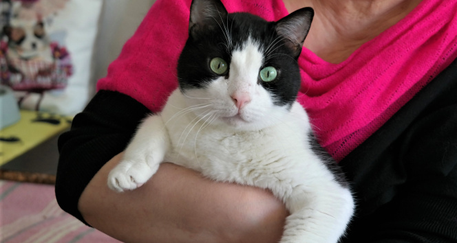 Fiyatı En Çok Artan ve En Çok Ucuzlayan Ürünler Açıklandı