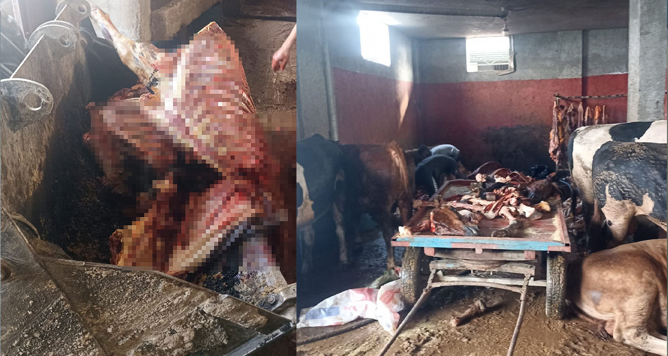 Kebabın başkentinden at ve eşek etleriyle ilgili skandal