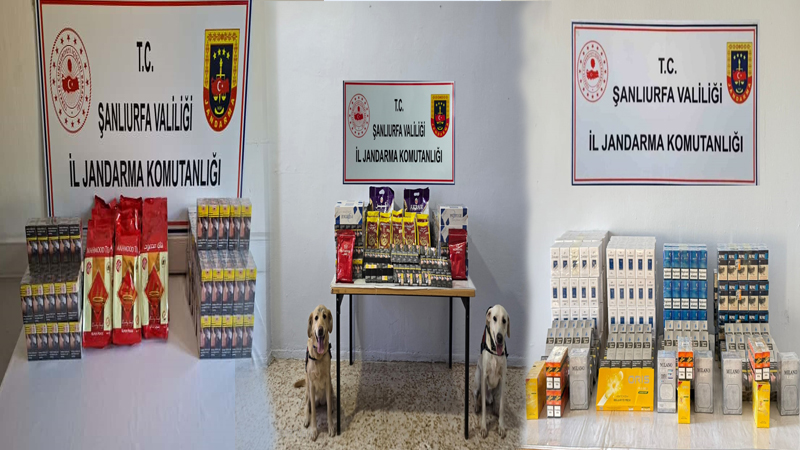 Şanlıurfa Jandarmasından Viranşehir’de Peş Peşe Kaçakçılık Operasyonları!