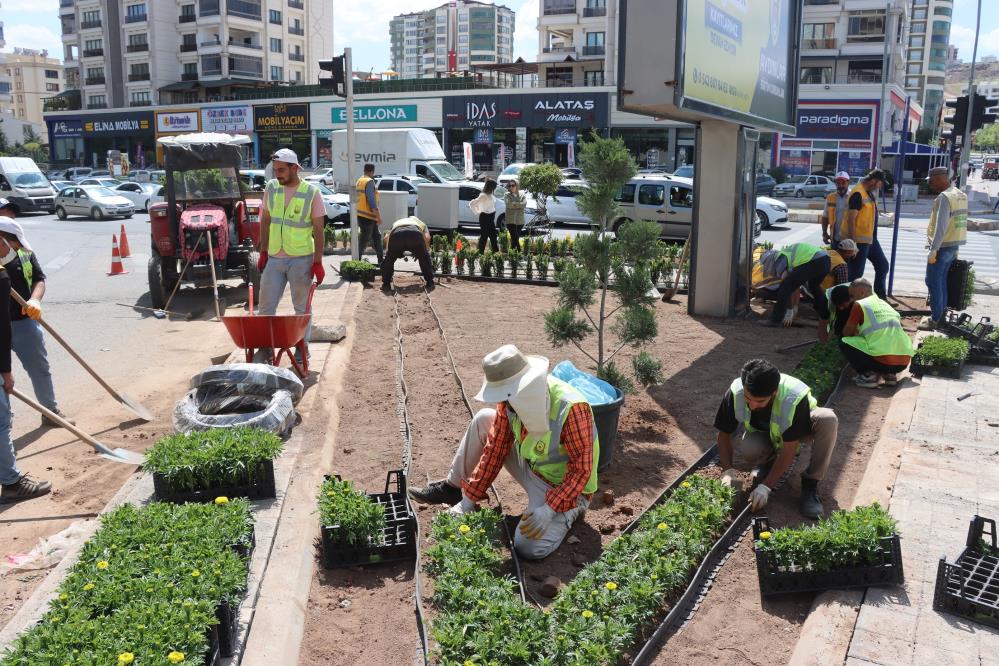Seralarda yetiştirilen çiçekler Şanlıurfa’yı güzelleştirecek
