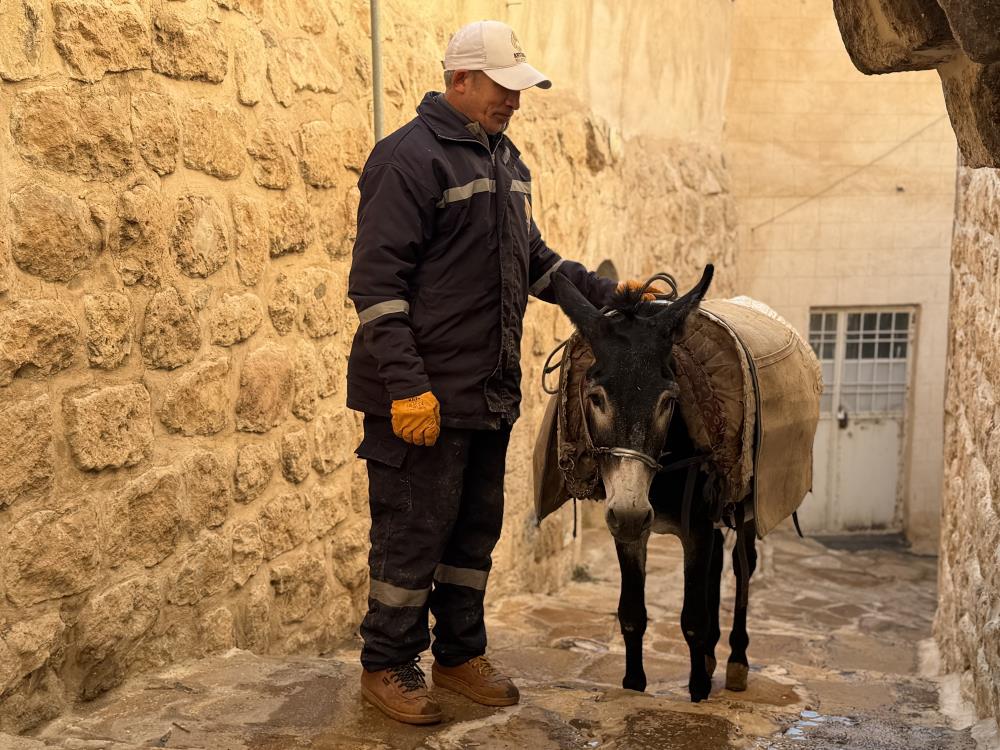 'Kadrolu' Eşekleri 'Emekli' edecek proje hayata geçiyor