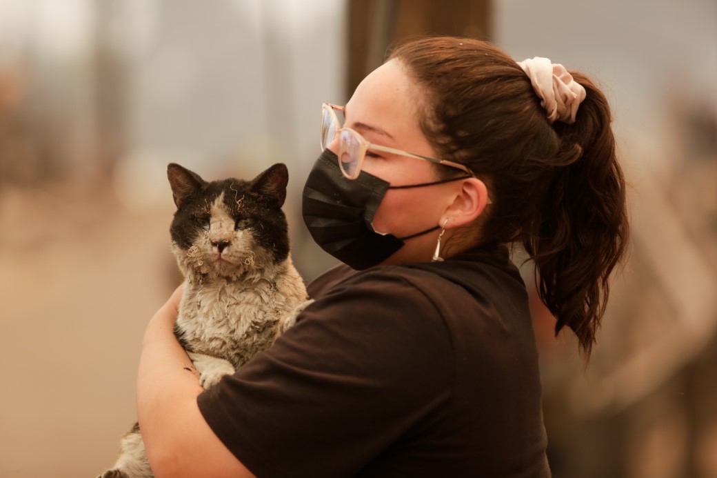 Ülkede afet durumu ilan edildi