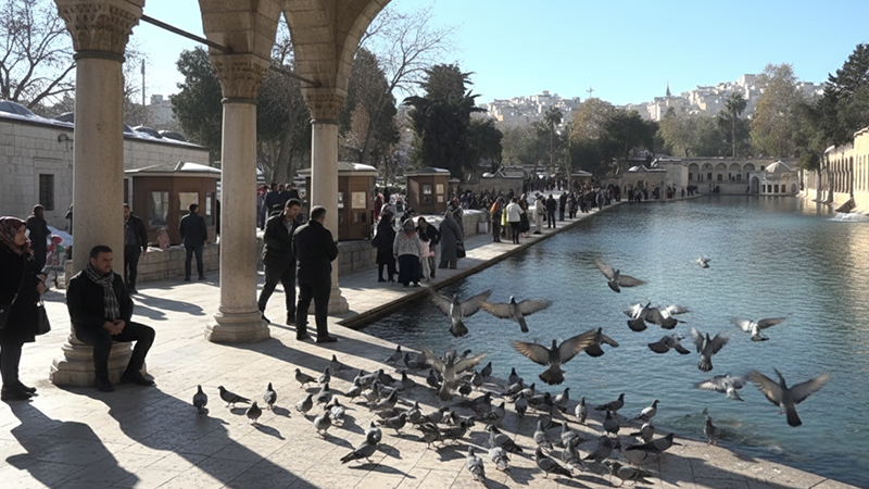 Şanlıurfa'da Karlı Bir Hafta Sonu Balıklıgöl Keyfi