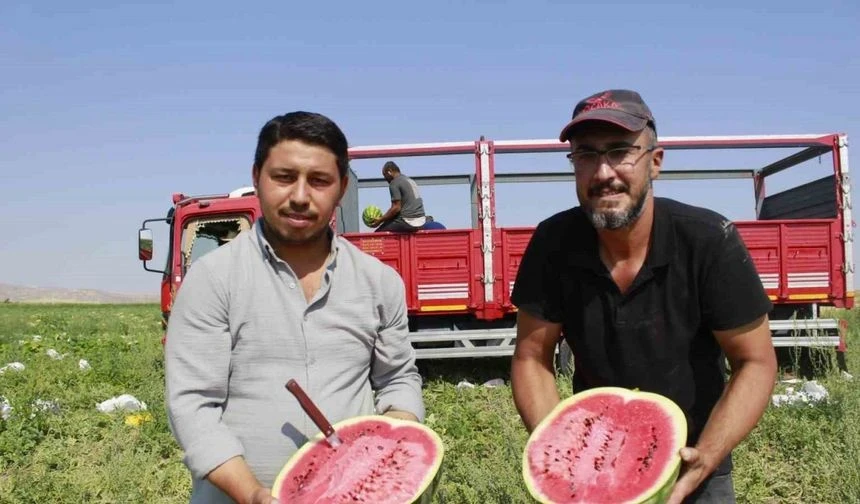 Şanlıurfalı tarım işçileri Yozgat'ta