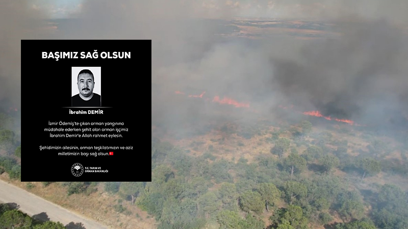 Orman Yangınına Müdahale Ederken Şehit Oldu