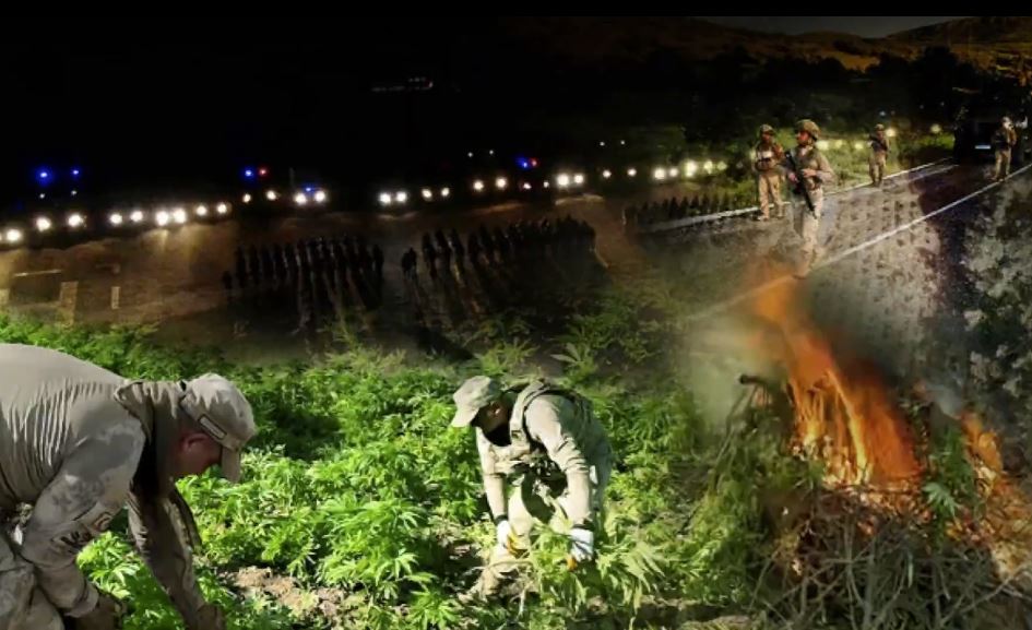 Uyuşturucu Tacirlerine Büyük Darbe! Şanlıurfa Destekli Operasyon