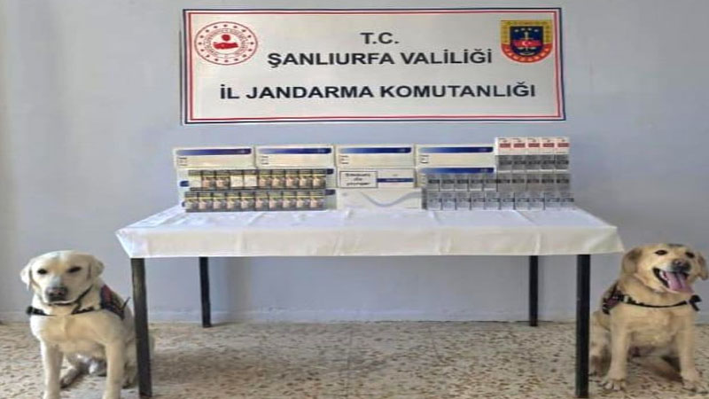 Viranşehir’de Kaçak Sigara Operasyonu