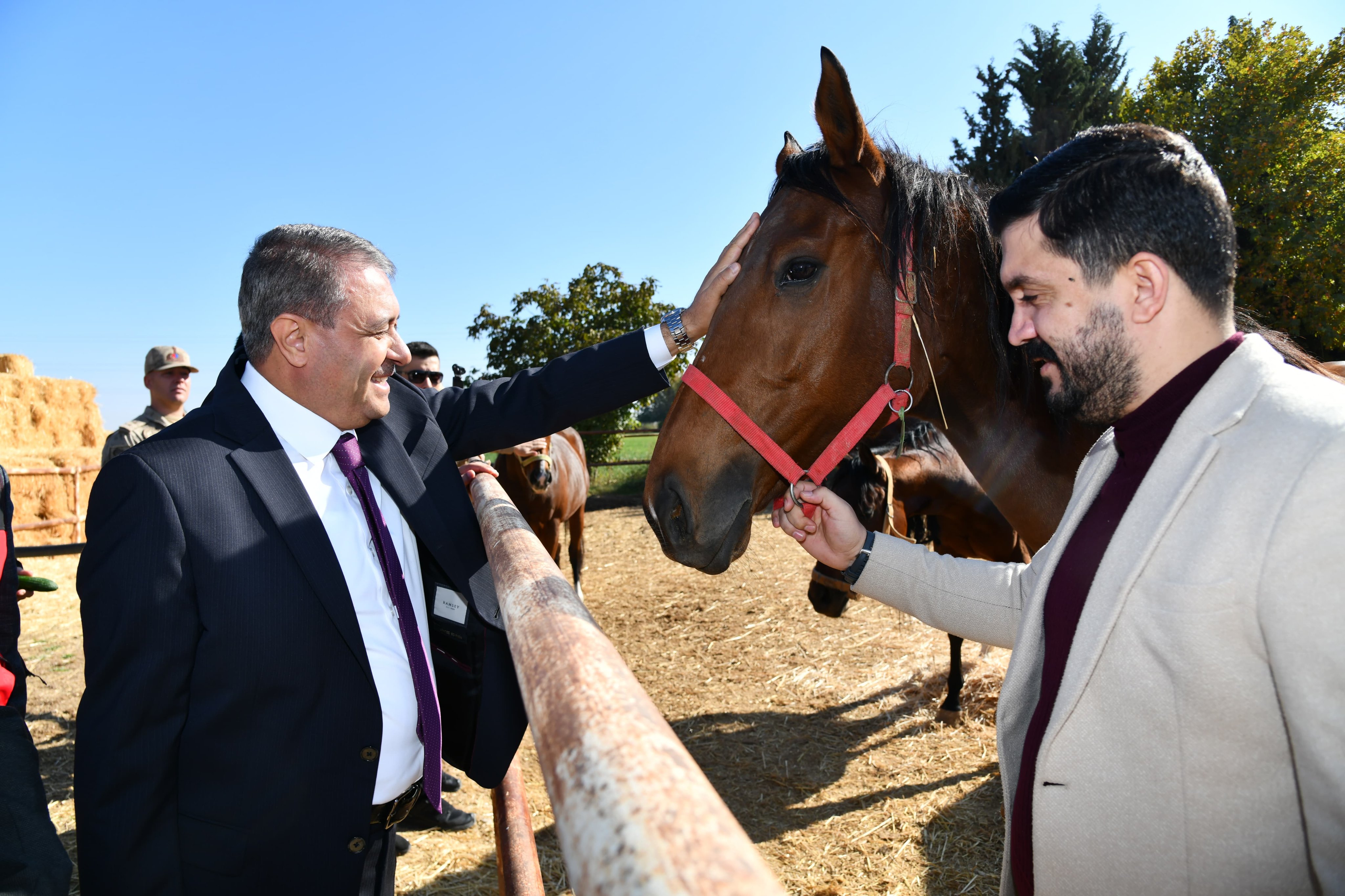 Şanlıurfa'da 4 bin 500 yarış atı yetişiyor