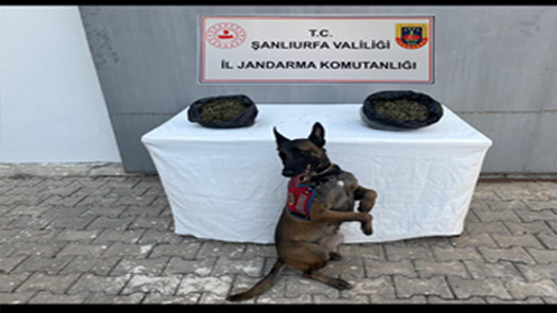 Şanlıurfa’da Jandarmadan Narkotik Operasyonu