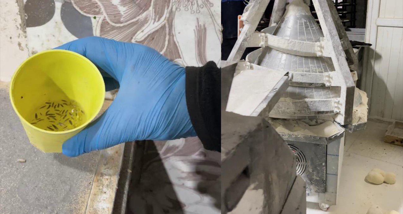 Fırında mide bulandıran görüntüler!