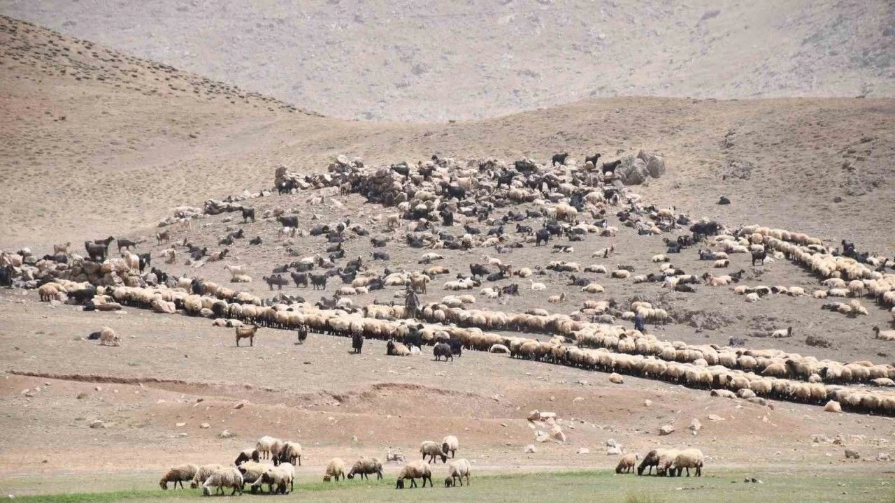 Göçerler yayladan inmeye başladı