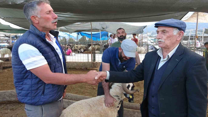 Bayram yaklaştı, kurban pazarında kıran kırana pazarlık başladı