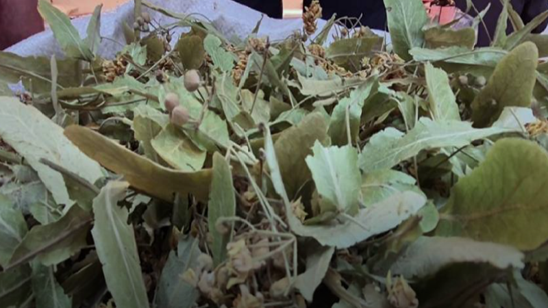 Fiyatlar Düştü Herkes İçebilecek