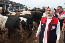 Kurbanlık denetimleri devam ediyor