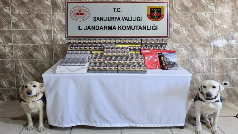 Jandarma'dan kaçakçılık operasyonu