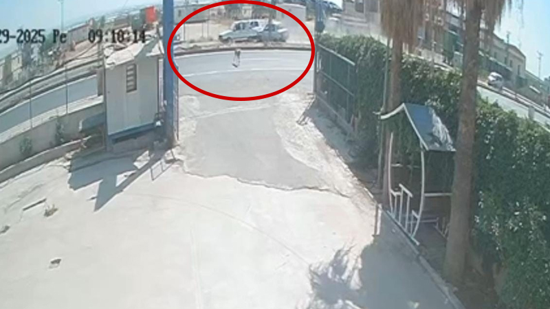 Şanlıurfa’da sokak köpeği zincirleme kazaya neden oldu